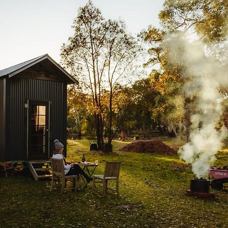Newham Ardingly Tiny Houseヴィラ エクステリア 写真