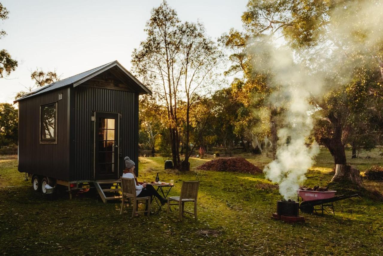 Newham Ardingly Tiny Houseヴィラ エクステリア 写真